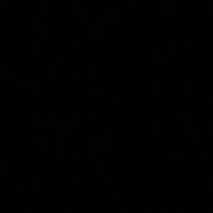 Meet your Posher, Ramon